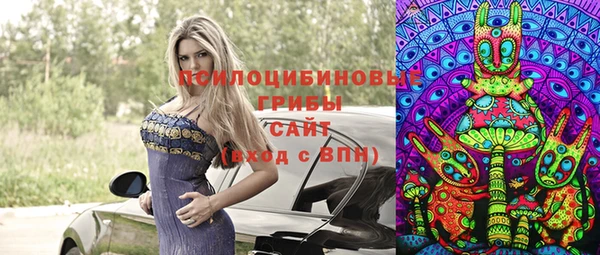 дживик Аркадак